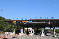 DSCN1881