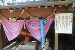 DSCN1919