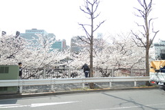 DSCN2082