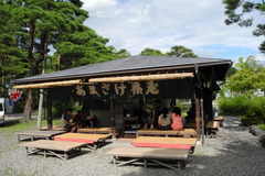 DSCN1395