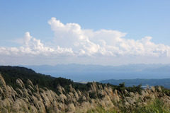 DSCN1619