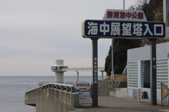 DSCN2032
