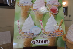 DSCN1591