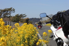 DSCN2043