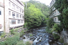 DSCN1629