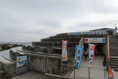 DSCN2037