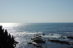 DSCN1883
