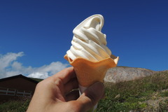 DSCN1592