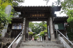 DSCN2345