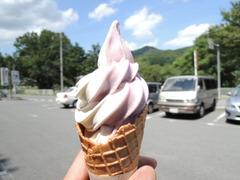 DSCN1444