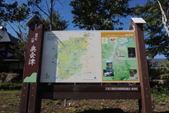 DSCN1648
