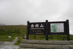 DSCN1366