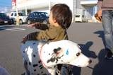 BlogPaint