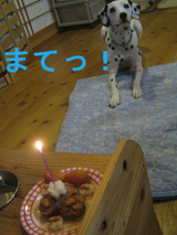 BlogPaint