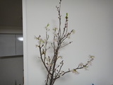 DSC00167