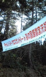 5134b8f5.jpg