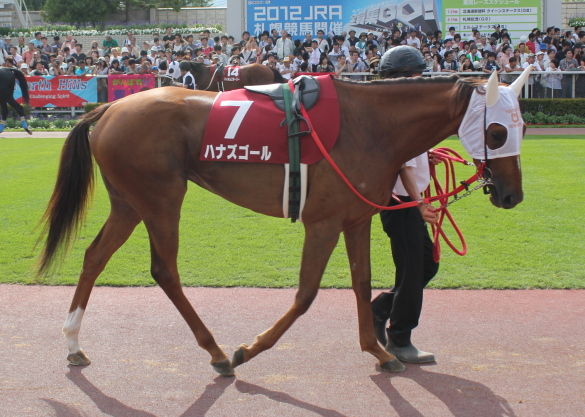 hanaze