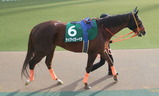 keiai1