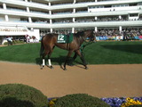 2010_0313fura10573