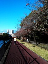 IMG_20171119_084250