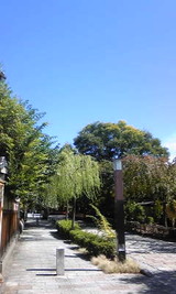 389f5b7a.jpg