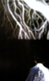 a97f0e4d.jpg