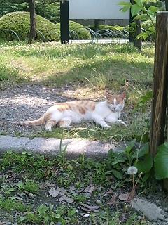 1d7182a0.jpg