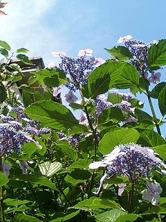 64b07f81.jpg