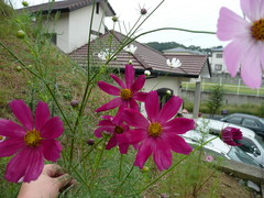 002