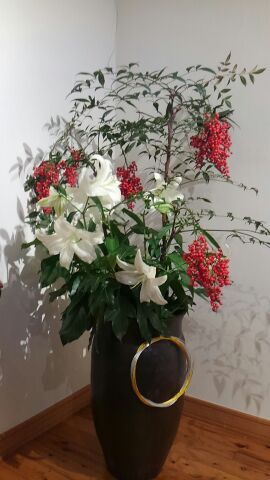 31年1月6日②