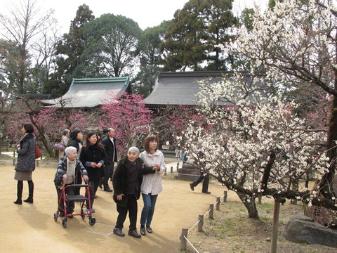 120kyoto1203080006