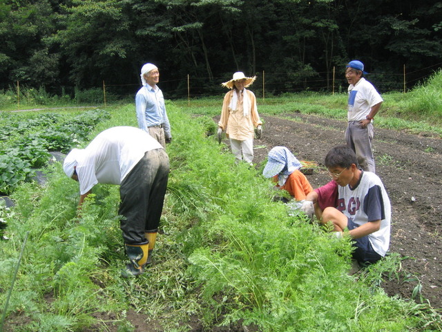 120nojyuku20050363