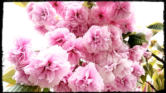 _20180415_130027