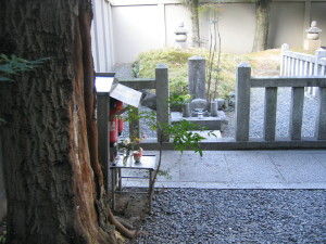 300hibi0701110020