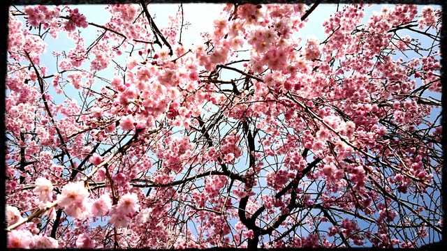 _20180410_135020