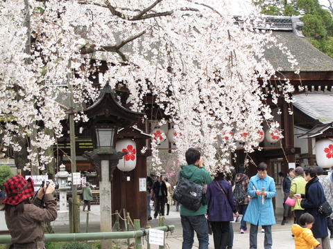 800kyoto1003310006