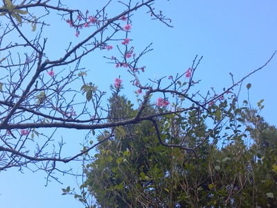 2012-01-26_11-12-55_842
