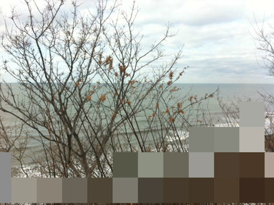BlogPaint
