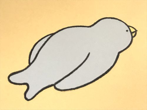 16 16 05 05
