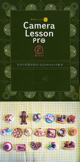 4f981f1f.jpg