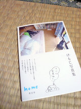 6569239d.jpg