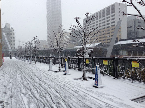 写真 2014-02-14 10 00 31