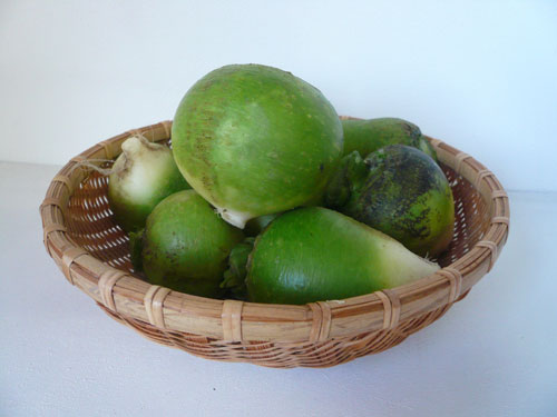 P1050230
