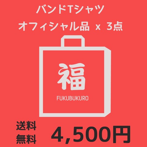 fukubukuro_bandt1