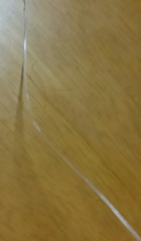 20160406_211410-1