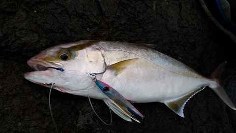 20160330_070420