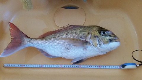 20160326_133429
