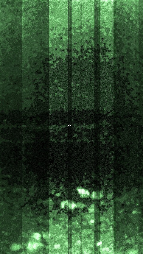 NightVisionCamera_1433431463636