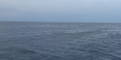 20160128_080403-1