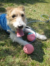 090411IMG_8885